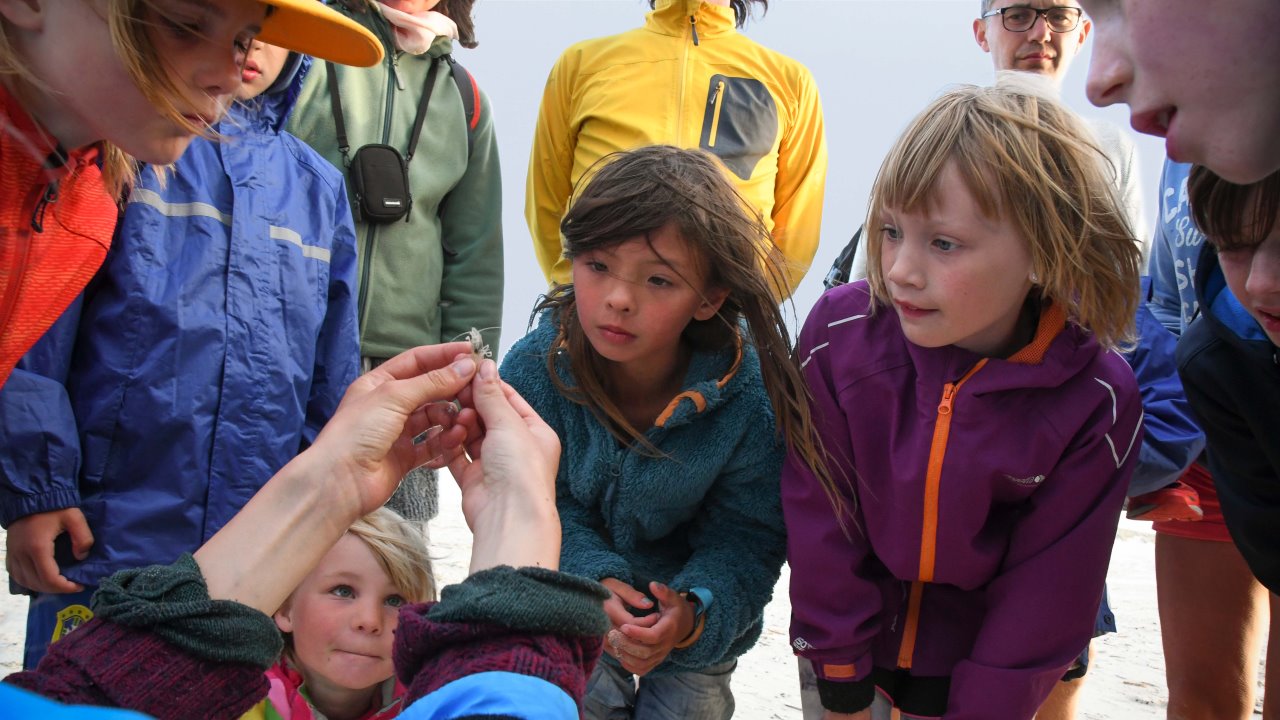 Group of exploring kids. Henk Postma.