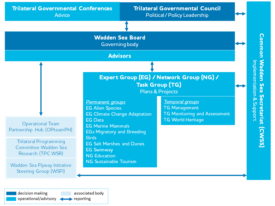 TWSC Organogram. CWSS.