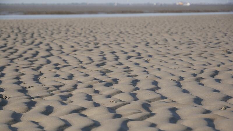 Sandy mudflat. CWSS/ Bostelmann