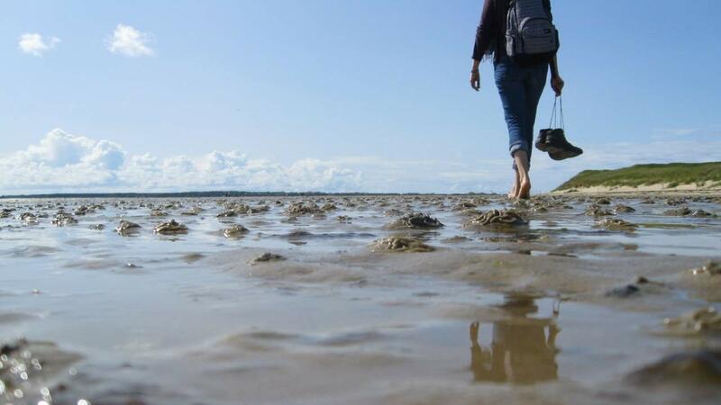 Mudflat walk. Baumlyriker via Pixabay.