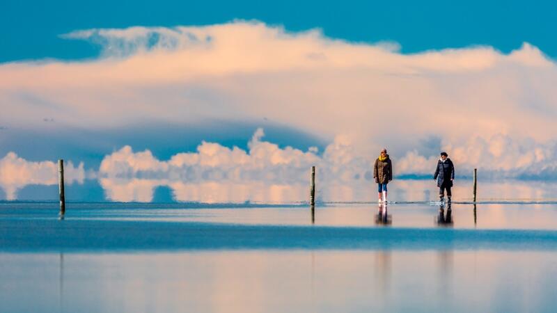 Mudflat walkers. LKN.SH/Martin Stock.