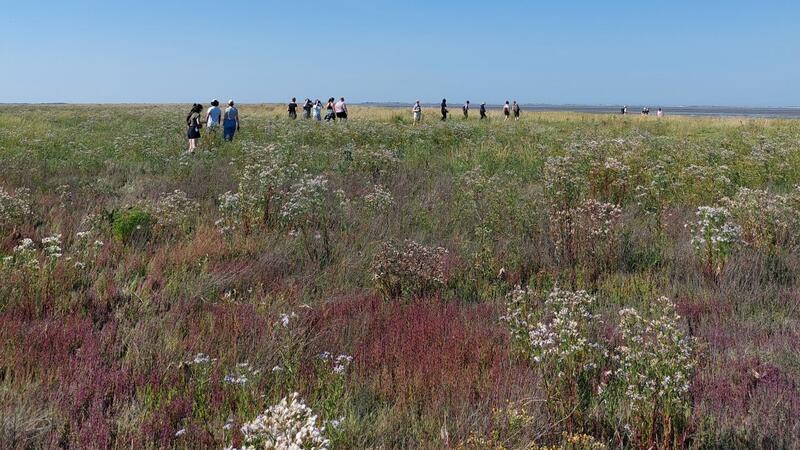 Group of students walking through colourful salt marsh. Hinke Lise Hoekstra. Group of students walking through colourful salt marsh. Hinke Lise Hoekstra.