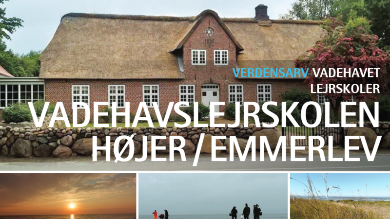Cut-out of one fact sheet. Nationalpark Vadehavet.