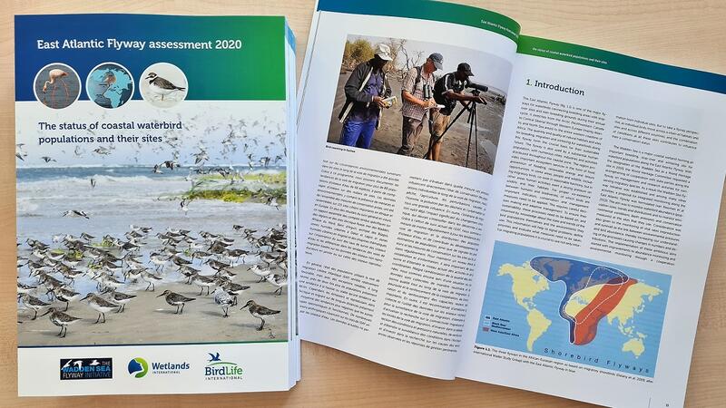 Copies of the report. CWSS.