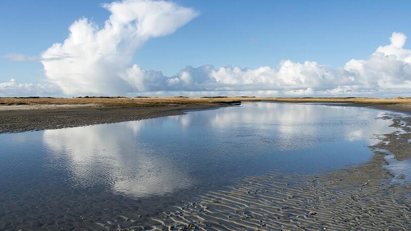 Tidal creek at low tide. Waddenacademie.