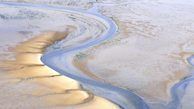 Tidal creek through mudflat. John Frikke.