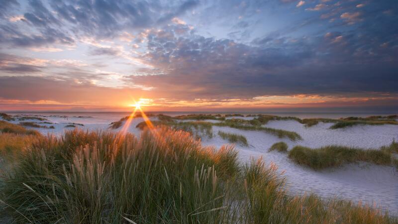 Sand dunes. A. Schnabler.