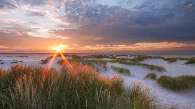 Sunrise over dunes. CWSS/ A.Schnabler.