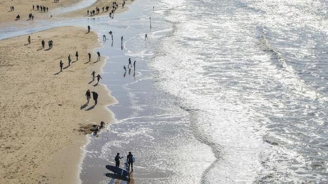 Aerial photo of beach shore with people. © unsplash.com.